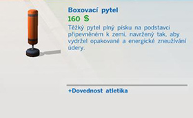 Koníčky a dovednosti