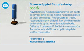 Koníčky a dovednosti