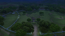 Pole rudých květů - Obrázek