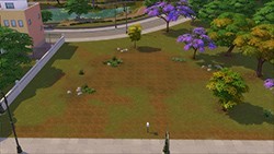 Caminito del Deseo (obrázek)