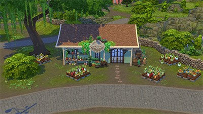 Cloverova semena a potřeby (obrázek)