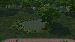 Vodní doupě (obrázek)